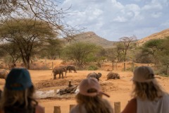 Reteti Elephant Sanctuary