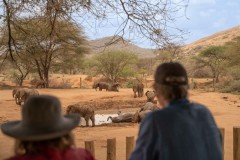 Reteti Elephant Sanctuary