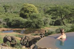 Evening-dip-with-great-wildlife-view