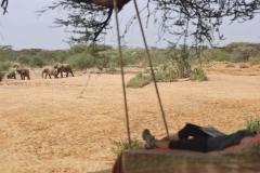 Tree-bed-overlooking-waterhole-19