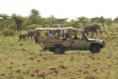 Saruni-Eagle-View-Wildlife-elephants