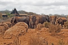 Satao-Elerai-Eles