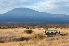 Satao-Elerai-Kili
