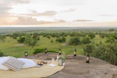 2Serengeti-Bushtops-017_12_14_bushtops_0360-scaled-e1601886057945-1337x1047