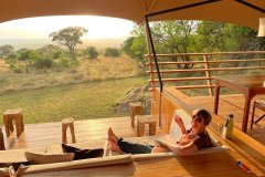 Serengeti-Bushtops-1