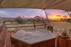 Serengeti-Bushtops-2012-14