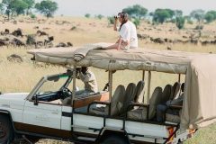 safari-e1591649095519-774x945