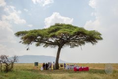 bush-lunch-at-serengeti-serena-safari-lodge