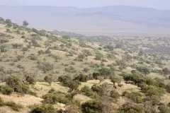 sirai-kenya-Dook-122-2048x1360