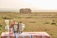 solio-lodge-ACTIVITIES-rhino-and-picnic