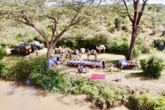 Bush-Breakfast-with-camels