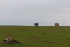 BalloonSafarisatTanguliaMara