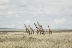 TanguliaCamp-beautifyingtheMaraskies