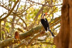 Interacting-with-the-nature-at-Tassia-lodge