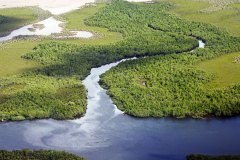 scenic-mangrove-kenya