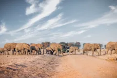 game-drive-sightings-1