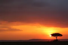 sunset