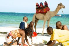 voyager-beach-resort-family-657