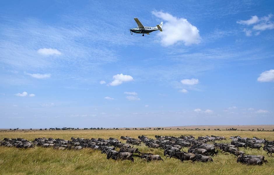 Safari Packages to Masai Mara