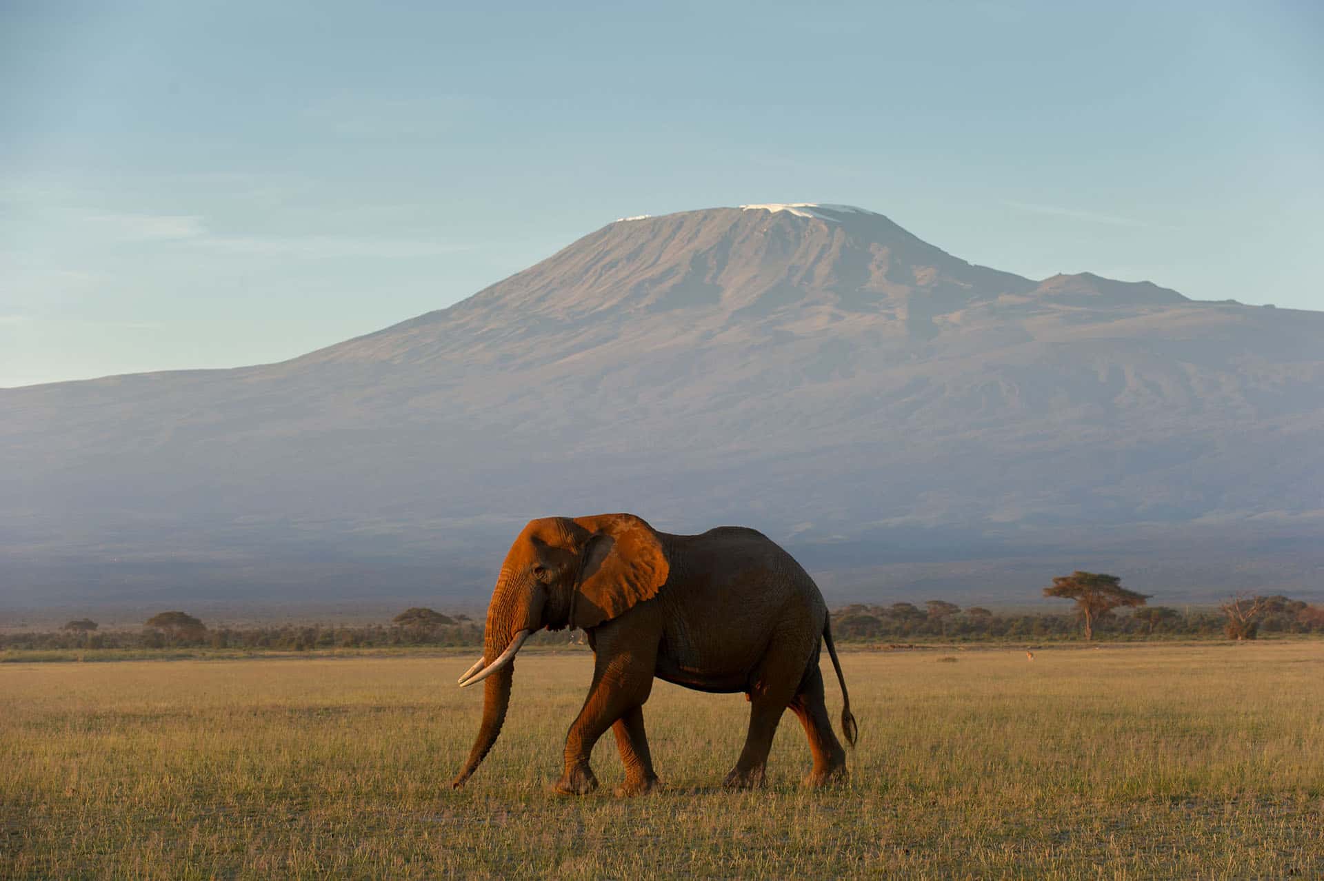 Amboseli National Reserve The Best Places To Visit In Kenya 