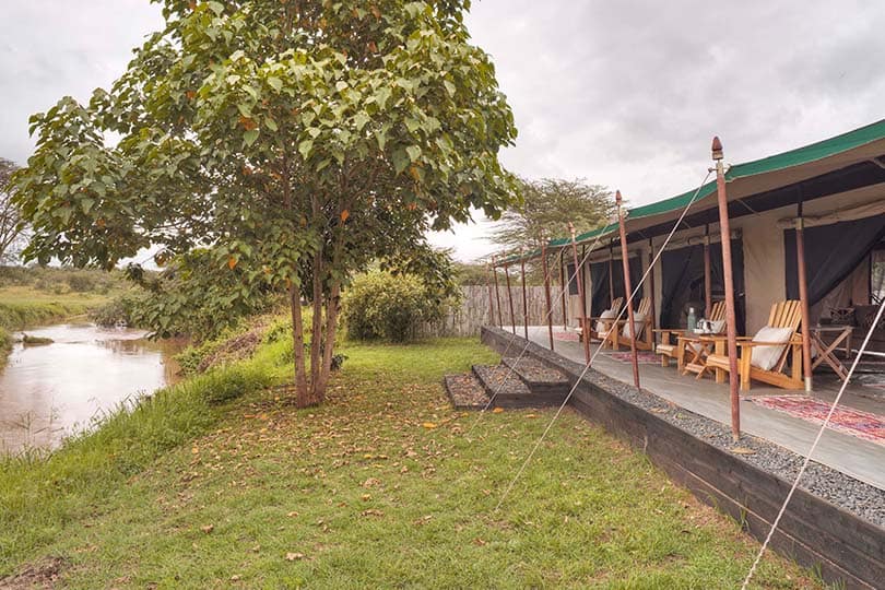 Ol pejeta bush camp