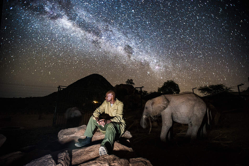How to arrange a visit to Ithumba
