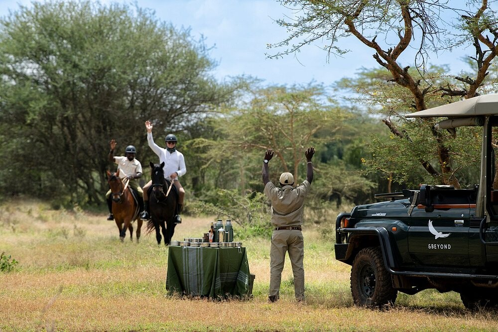 Safari activities