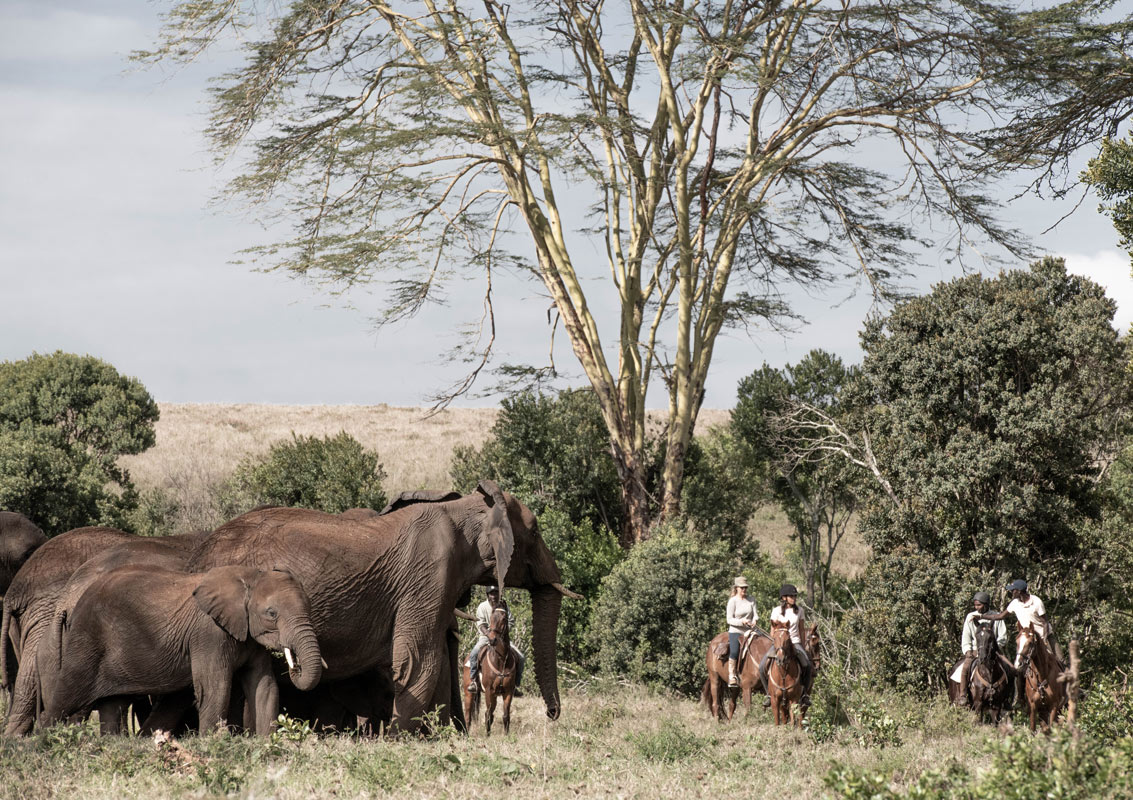 Borana Lodge riding safaris