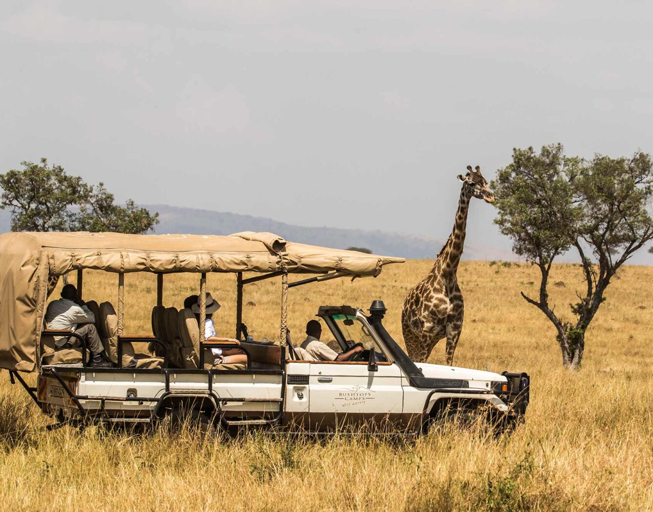 Mara bushtops safari packages