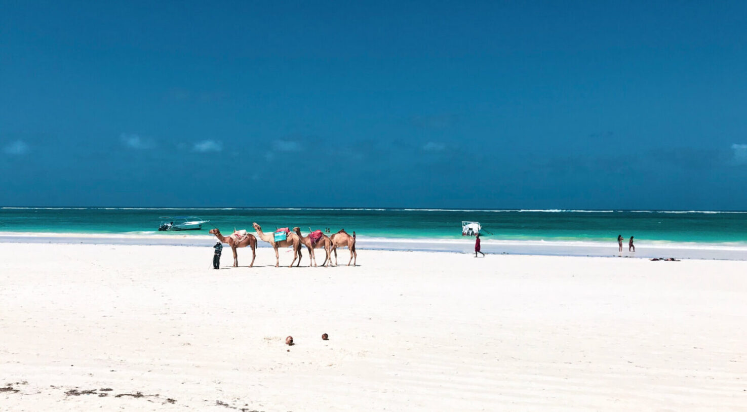 diani