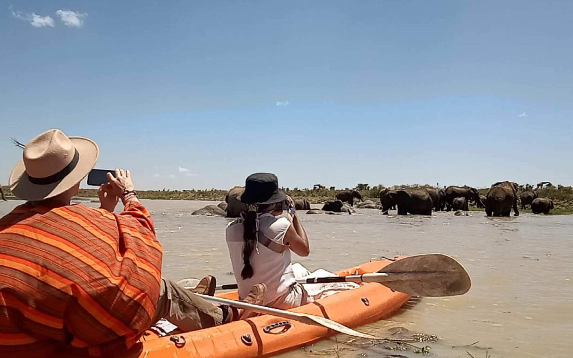 Wildlife viewing