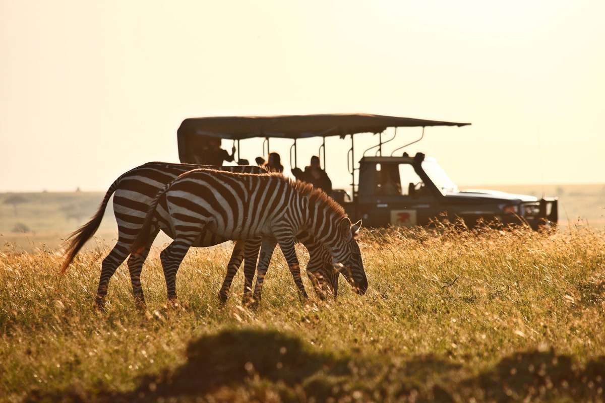 masai mara