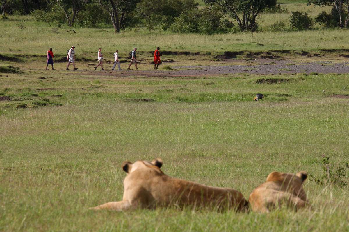 eleana elephant pepper location in Masai Mara eco system