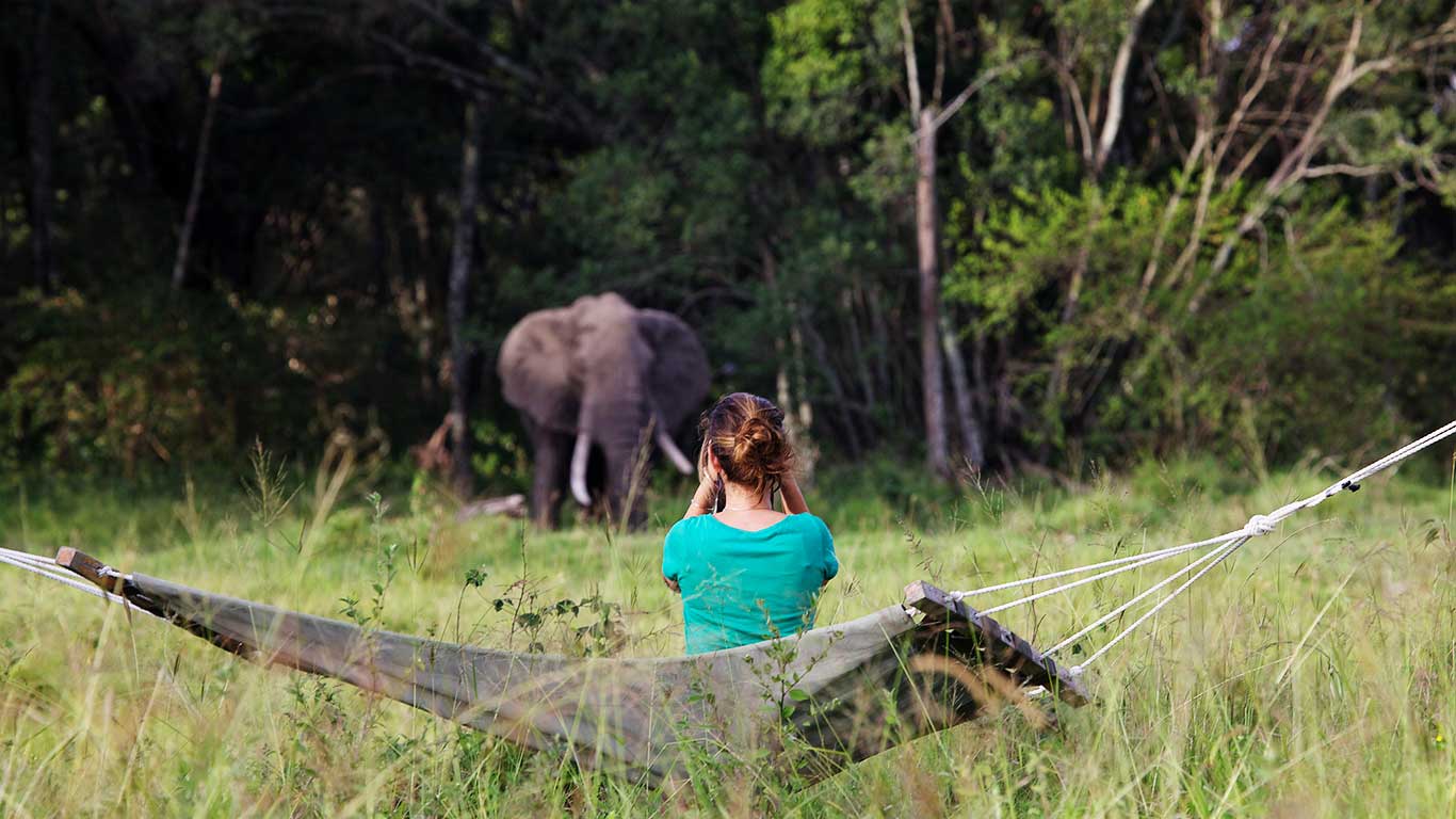elephant Pepper Camp,Masai Mara