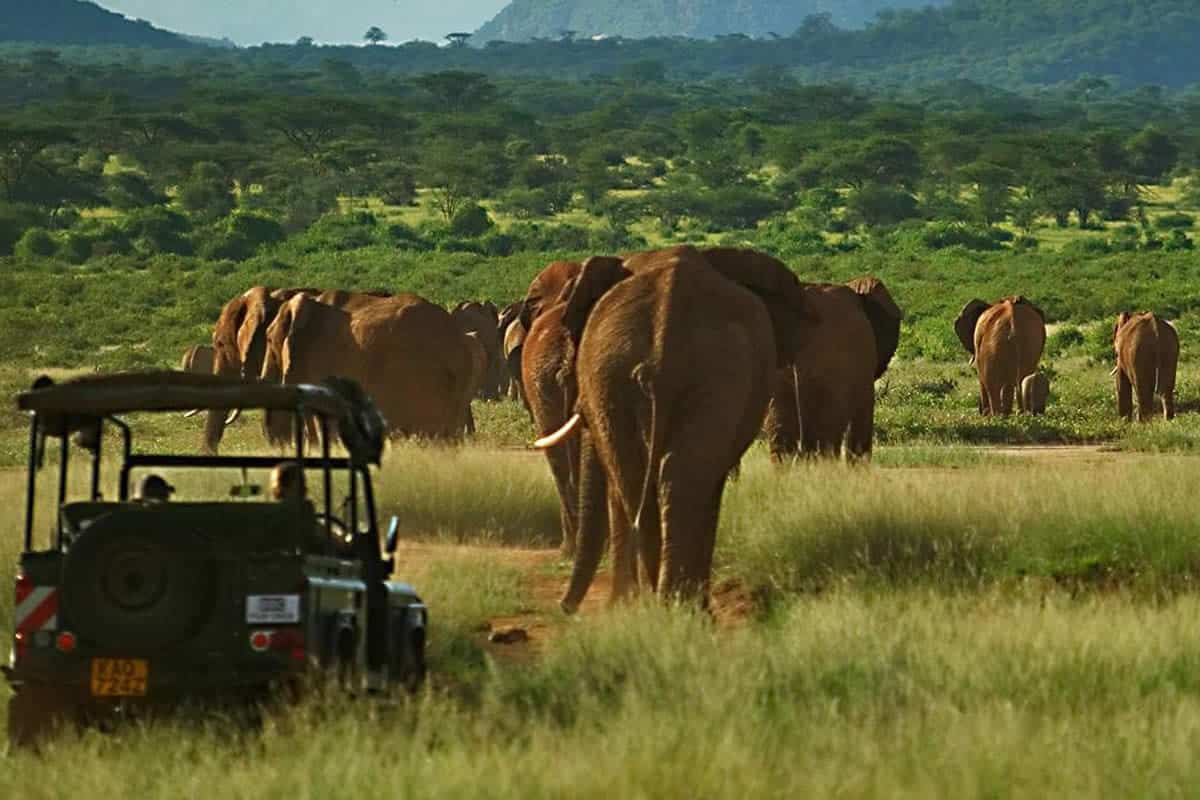 4 days safari package to Samburu