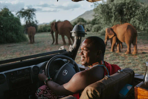 game drives