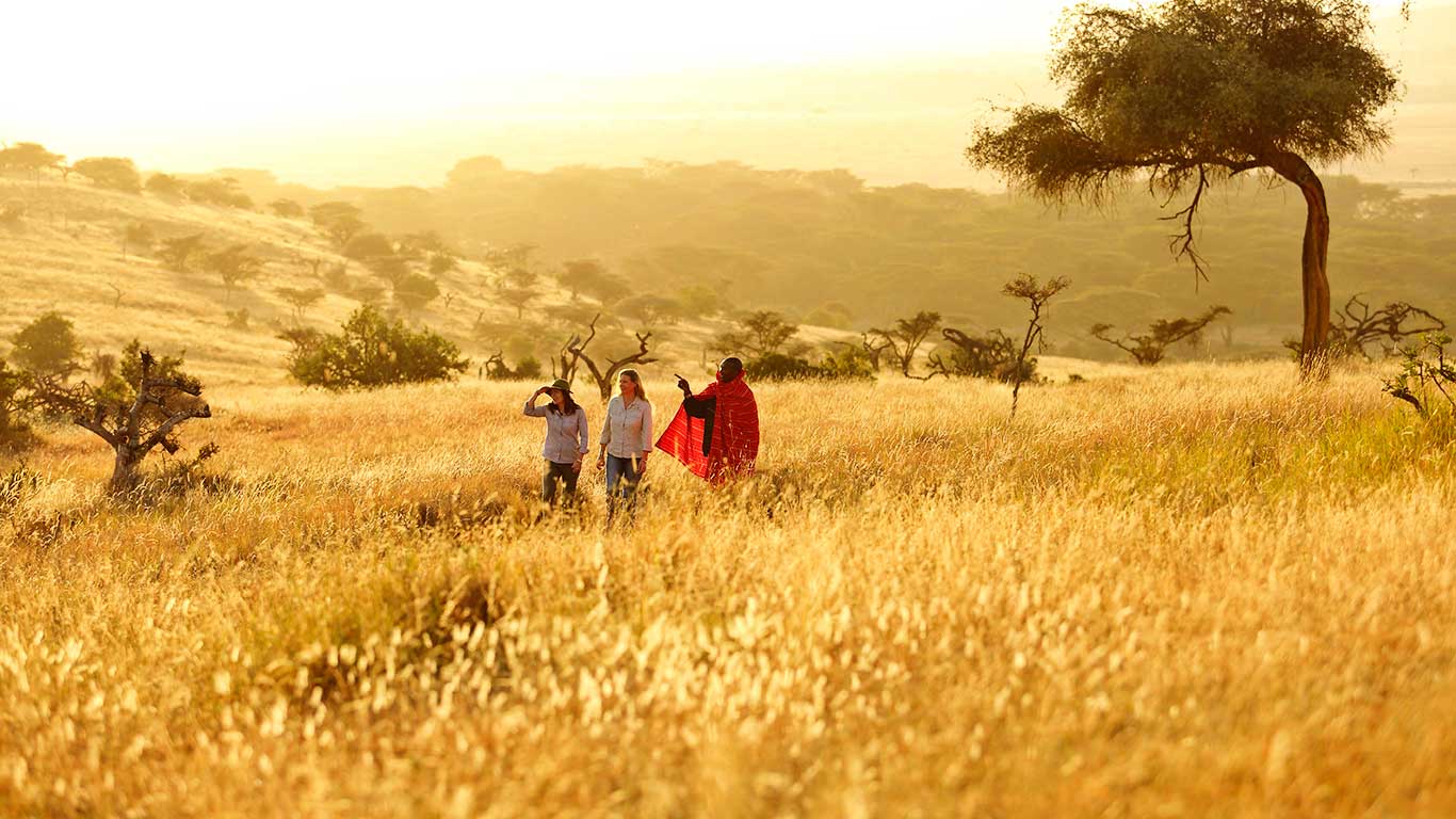 Guided Bush Walks at Lewa