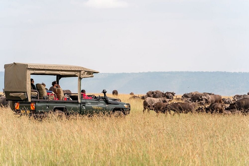 Game drives