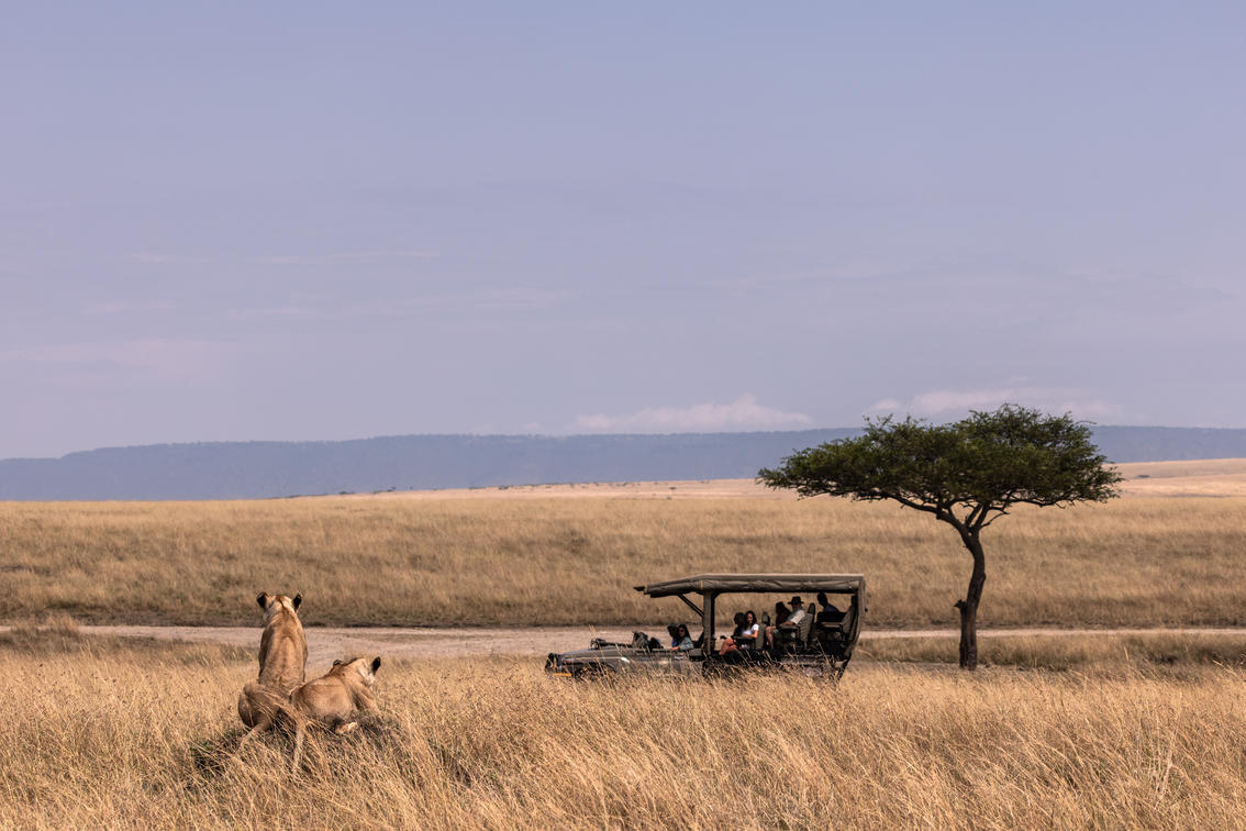 Game drives