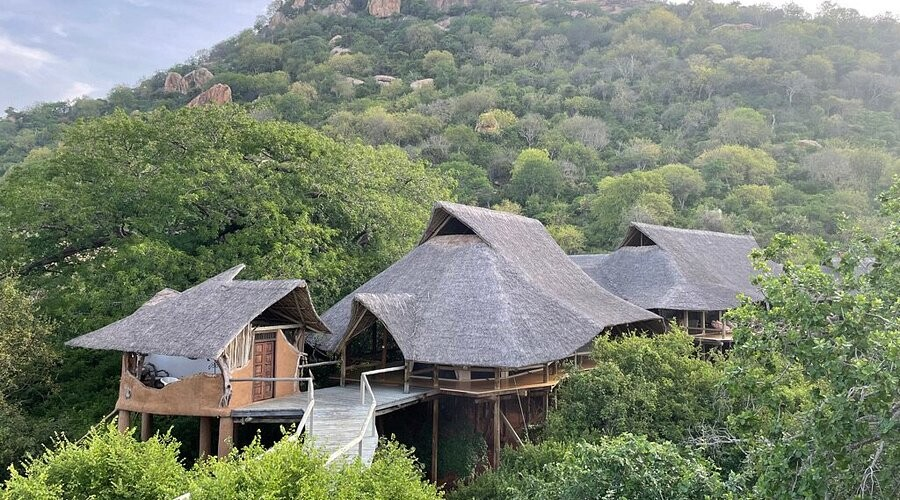 Eco-lodge on stilts with thatched roofs connected by wooden walkways, nestled in a lush hillside forest.