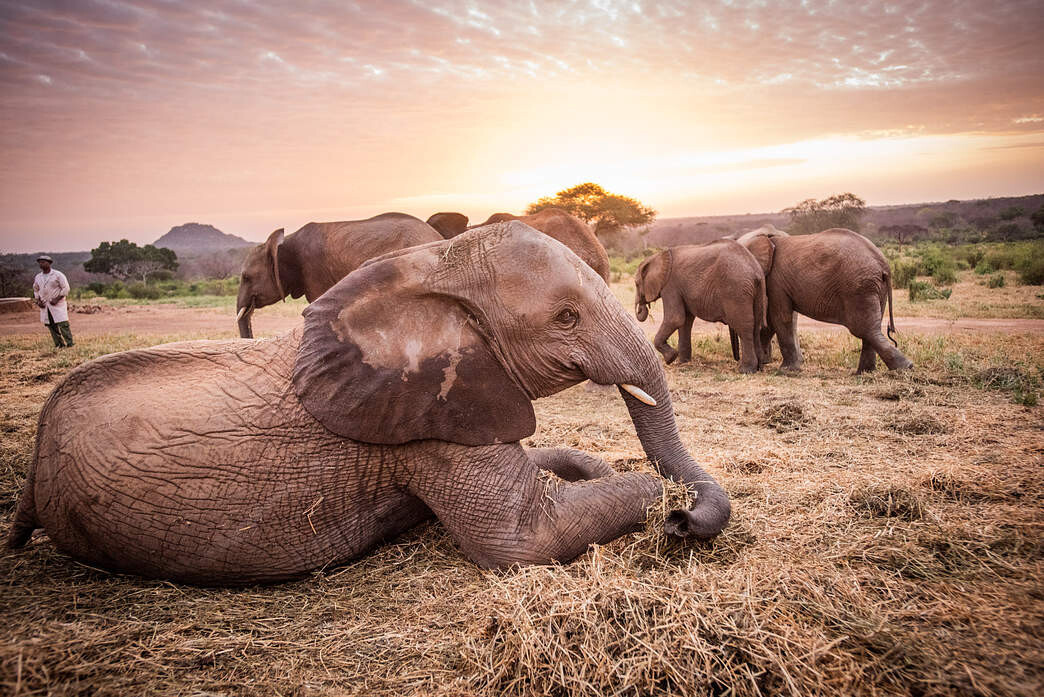 Why is Ithumba worthy a visit