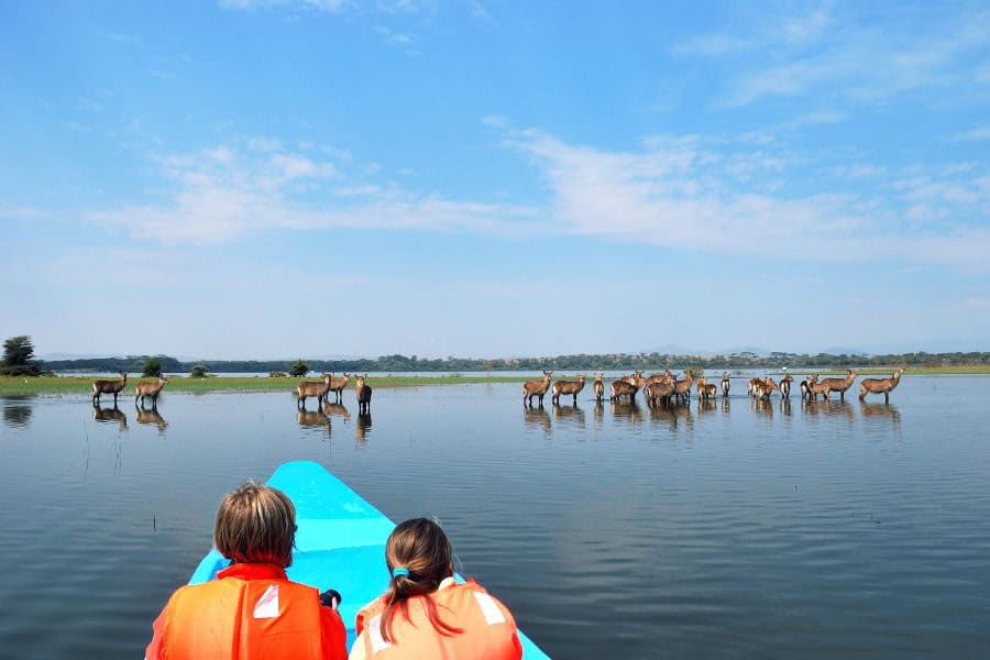 Lake Naivasha