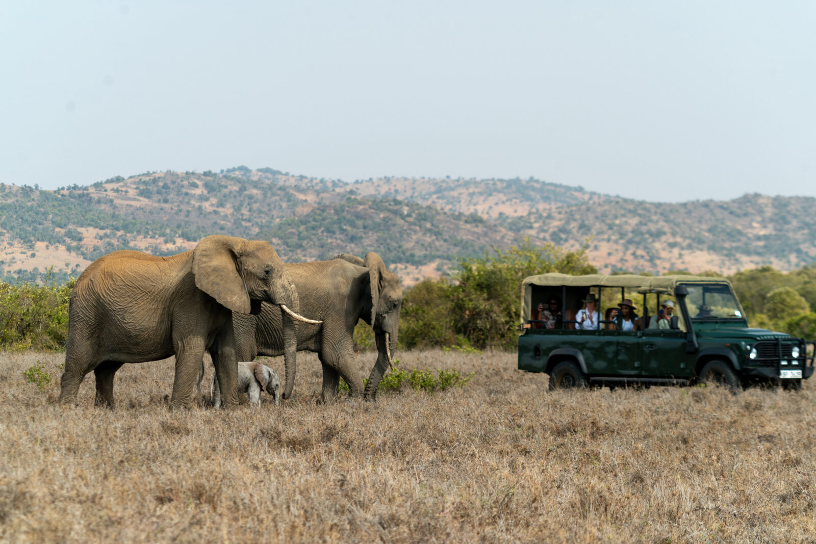 game viewing