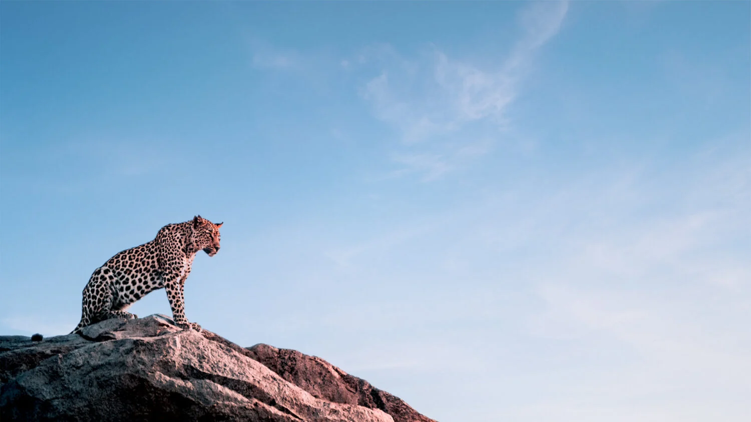Up and Above Fly-in Safari in Kenya