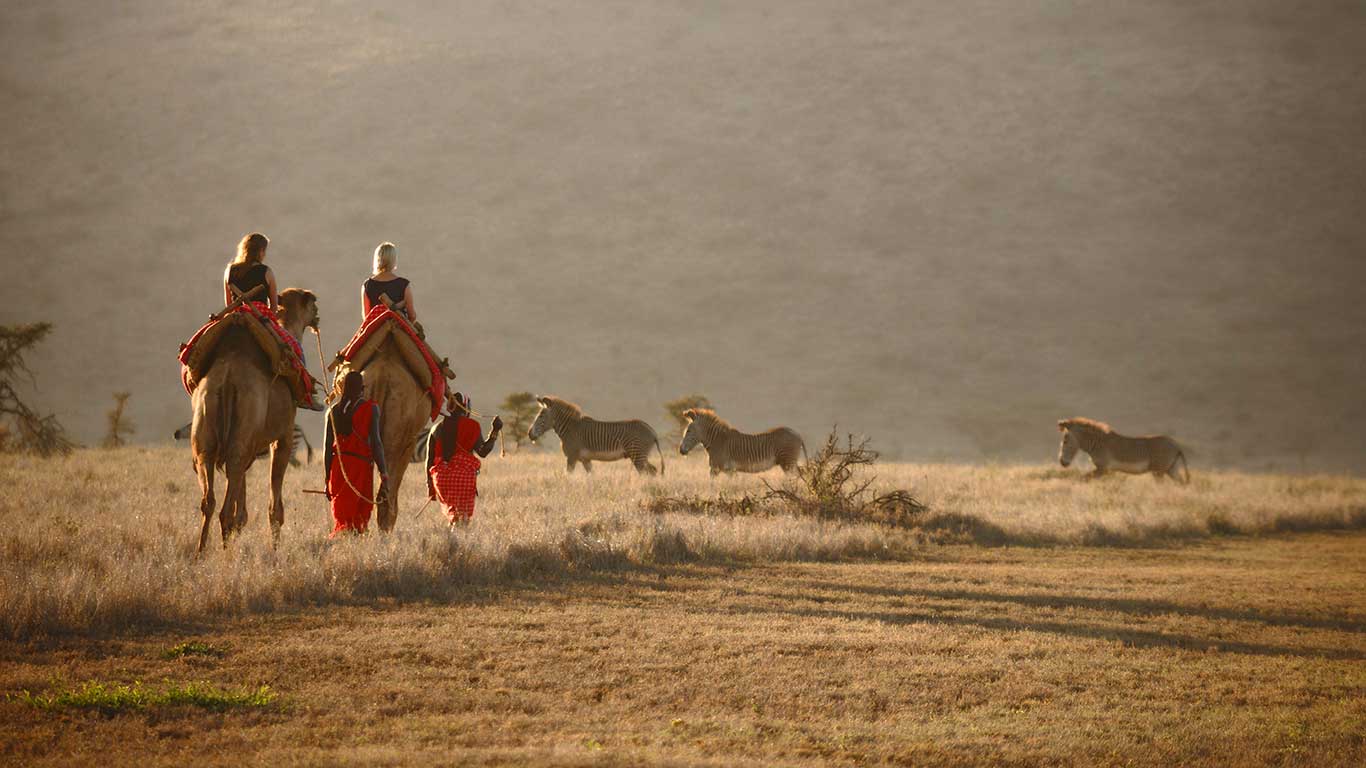 Horseback and camel Riding