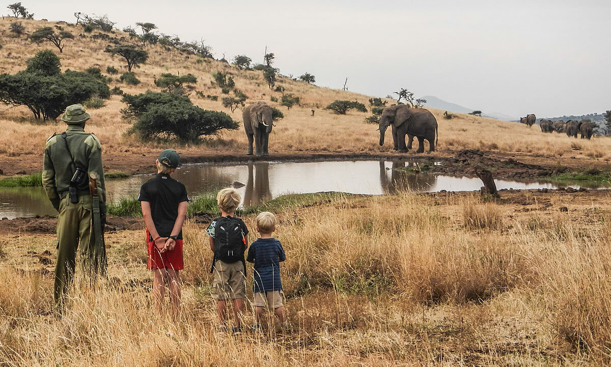 Game viewing at Lewa