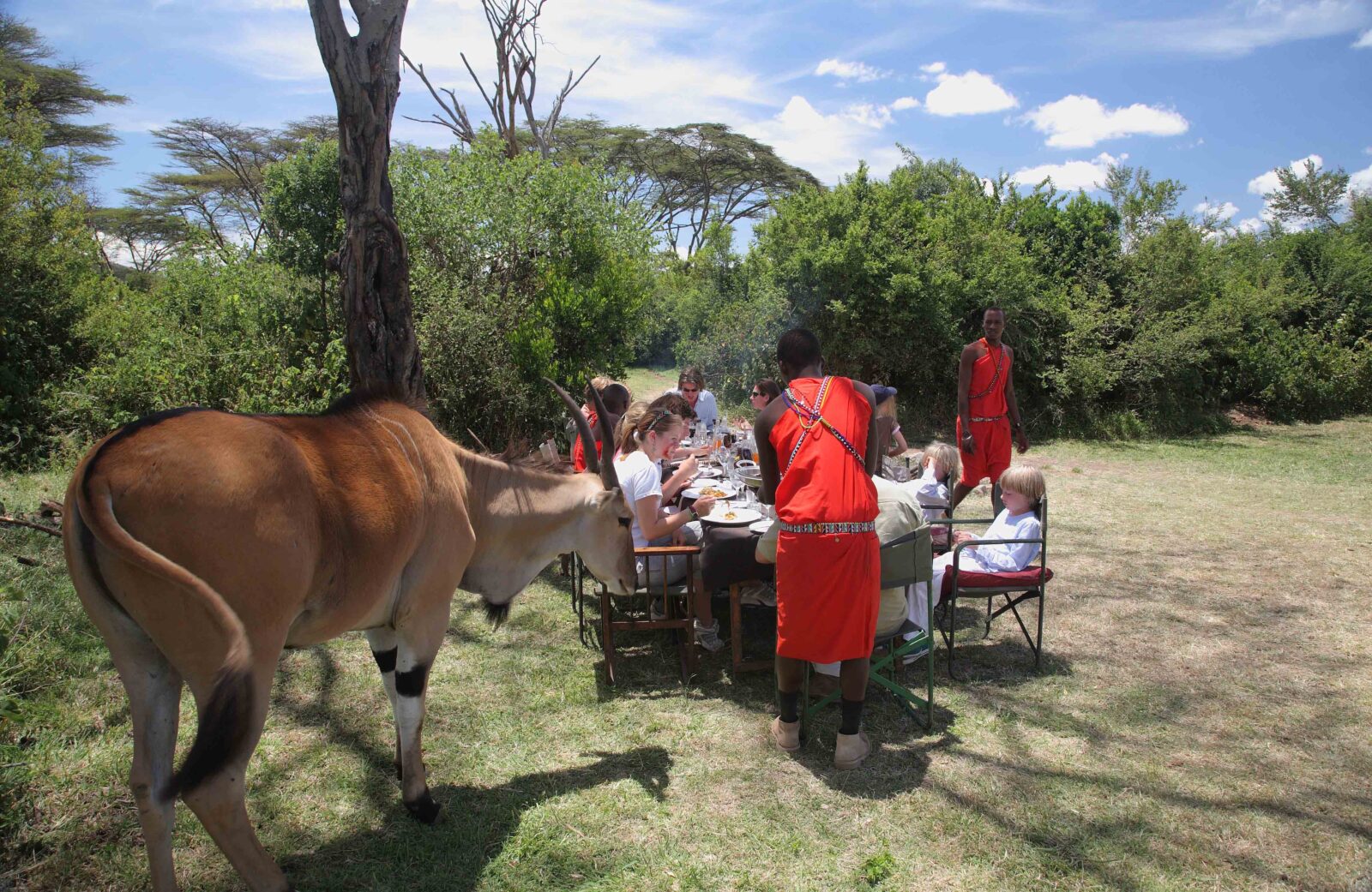 Saruni Family Safari to Samburu and Masai Mara