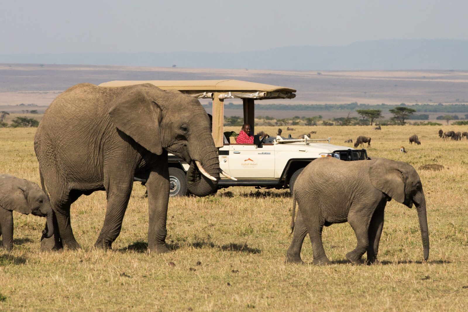 4 days Mahali Mzuri Safari camp