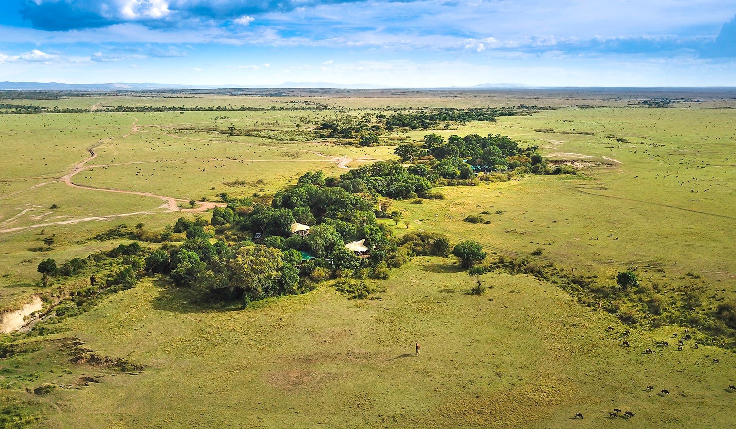 A Luxury masai mara safari camp-Mara Plains Camp