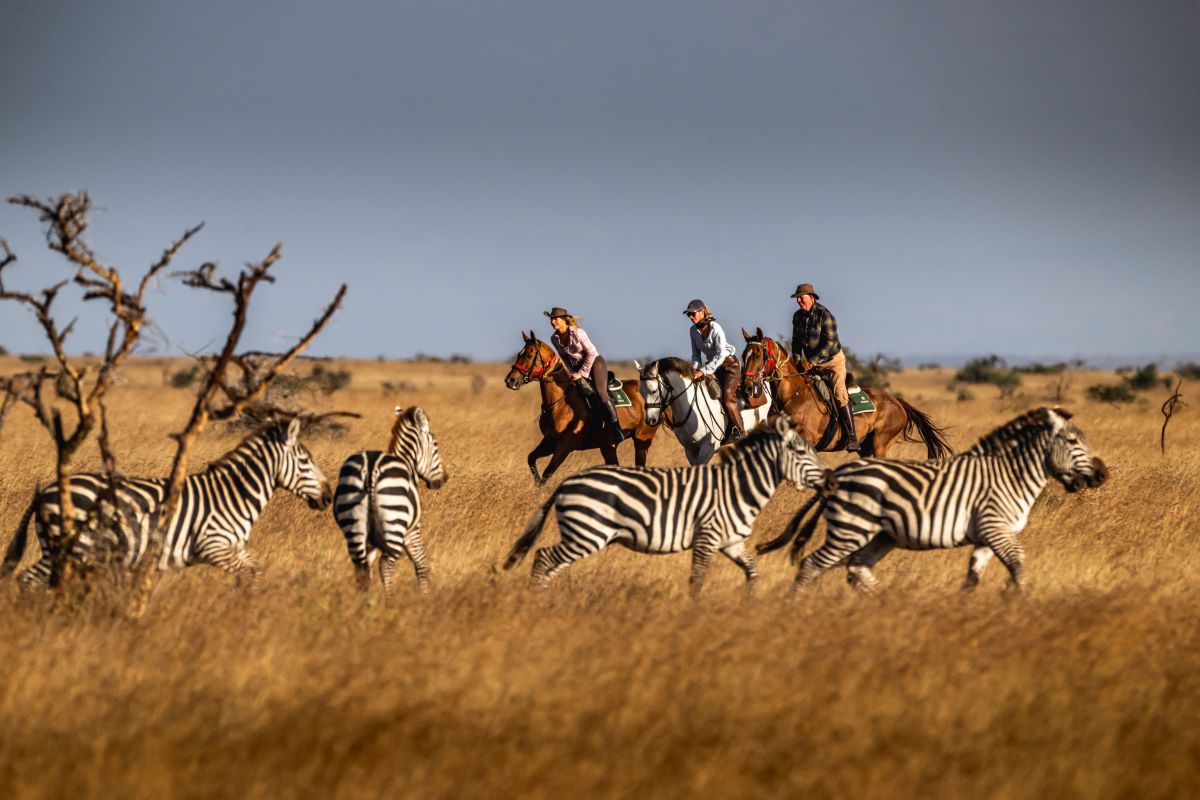 Horse riding Safaris in Masai Mara